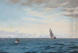 Humpback Whale And Sailing Ship In The Davis Strait by Carl (Jens Erik C.) Rasmussen