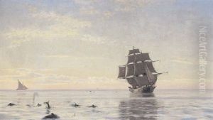 Skibe Pa Havet, I Forgrunden Marsvin