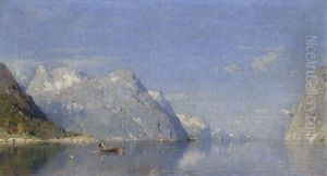 Norwegischer Fjord Im Sonnenlicht
