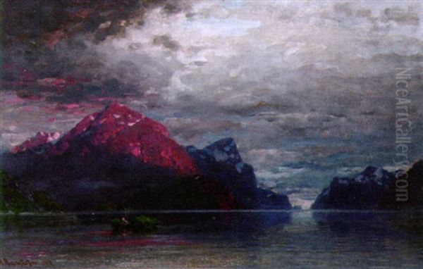 Norwegische Fjordlandschaft - view 1