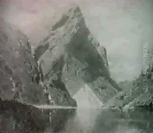 Fjordlandskab - view 1