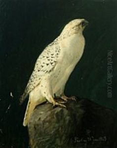 Icelandic Falcon