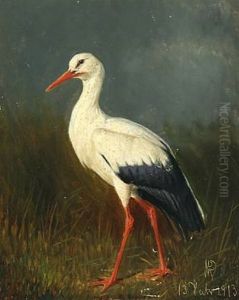 A Young Stork by Niels Pieter Rasmussen