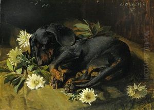 Untitled - Sleeping Puppy by Niels Pieter Rasmussen