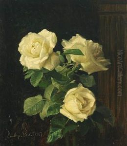 White Roses by Niels Pieter Rasmussen
