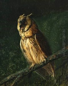 An Owl On A Branch