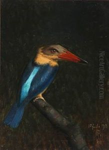 Kingfisher On A Branch
