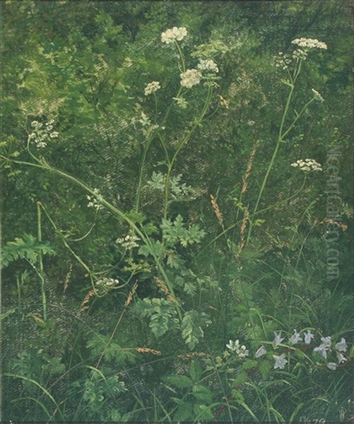 Rasmussen: Skarntyden, Hemlock - view 1