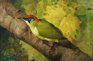 Green Woodpecker On A Branch