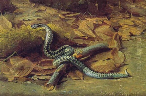 Le Serpent - view 1