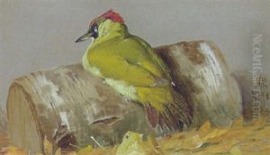Flagspaette by Niels Pieter Rasmussen