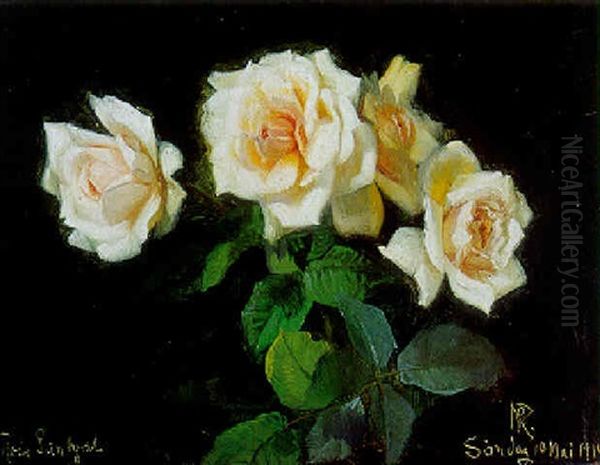 Rose Sunlight - view 1