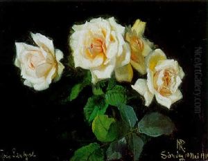 Rose Sunlight by Niels Pieter Rasmussen
