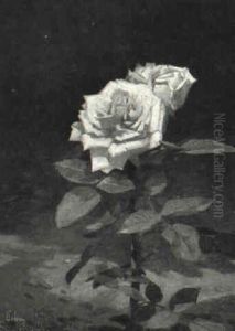 Voksende Lyser+de Rose by Niels Pieter Rasmussen