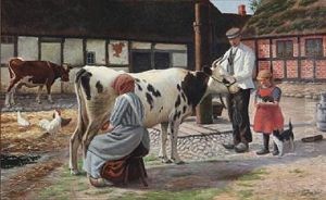 Farm Idyll With A Cow Being Milked In The Yard by Lars Soren Jensen Rastrup