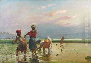 Dans La Riziere by Henri Ratova