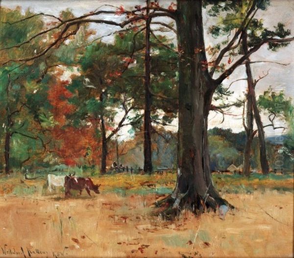 In Roseneath Wood - view 1