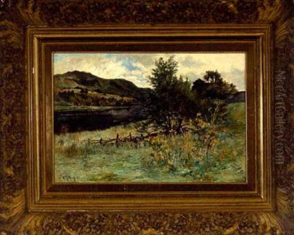 Tranquil River Landscape - view 1
