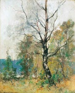 Among The Birches