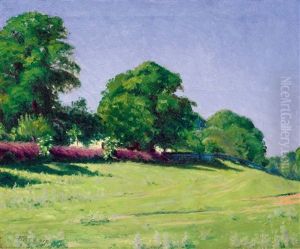 Green Meadow by Peter Ratz
