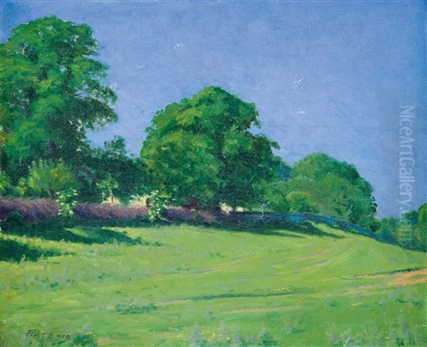 Verdant Meadow - view 1