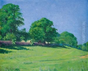 Verdant Meadow by Peter Ratz