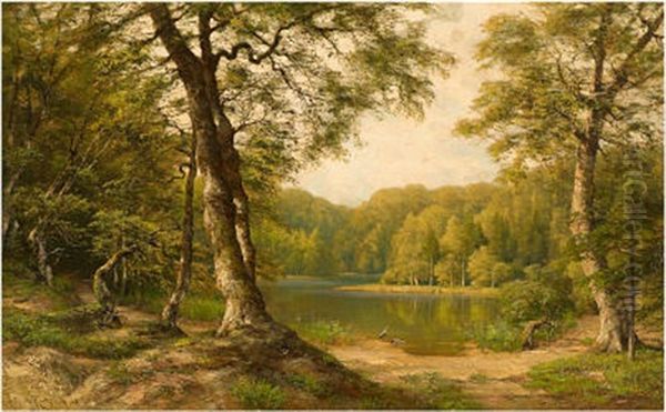 Waldsee - view 1