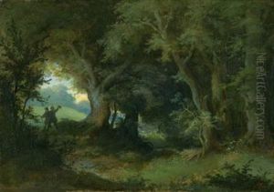 Zwei Wanderer In Waldiger Landschaft