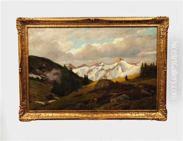 Alpine Landscape - view 1