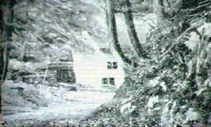 Haus Im Wald by Otto Rau
