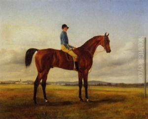 Jockey Auf Braunem Rennpferd