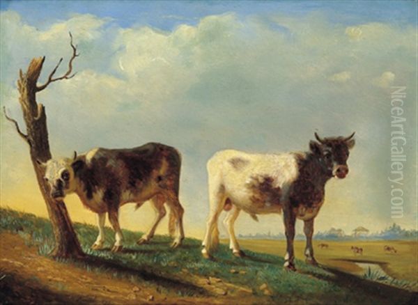 Jungstiere Vor Einer Weiten Landschaft - view 1