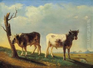 Jungstiere Vor Einer Weiten Landschaft Jungstiere Vor Einer Weiten Landschaft