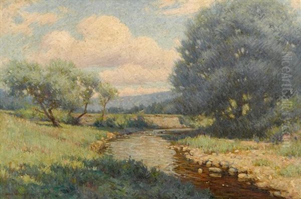 River Through The Glen - view 1