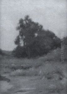 Stand Of Trees Stand Of Trees