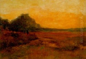 Sunlit Meadow Sunlit Meadow