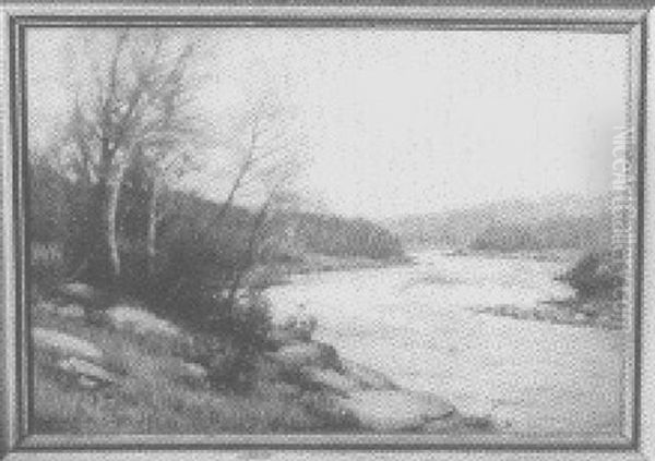 Rushing River - view 1