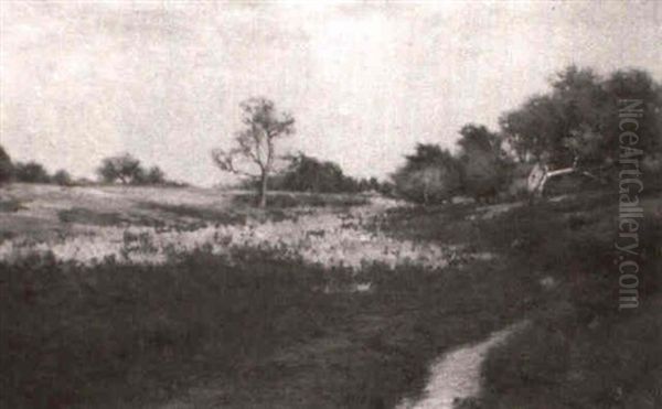 Meadow Brook - view 1