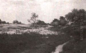 Meadow Brook by John Willard Raught