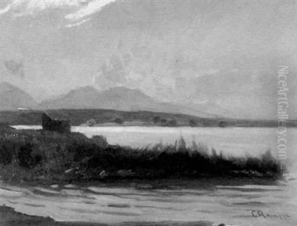 Uferlandschaft Am Chiemsee - view 1