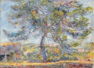 Paysage Du Midi, Le Grand Arbre Au Soleil