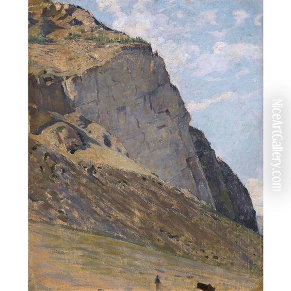 Sonnige Felspartie - view 1