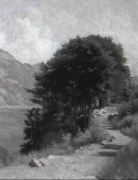 Sentier Au Bord Du Lac - view 1