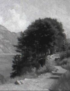 Sentier Au Bord Du Lac Sentier Au Bord Du Lac
