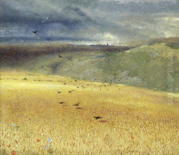 Cornfield - view 1