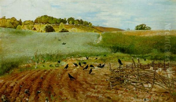 The Rooks Parliament - view 1