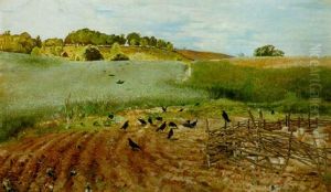 The Rooks Parliament The Rooks Parliament