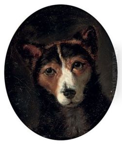 A Favorite Terrier