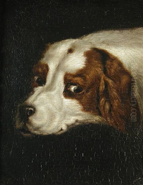 A Tabby Cat (+ A Spaniel; Pair) - view 1