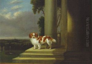 A Toy Spaniel On A Terrace Of A Country House by Samuel Raven